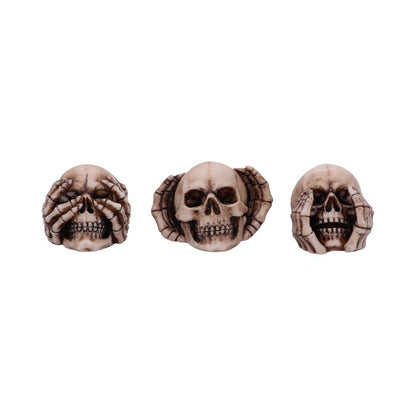 Three Wise Skulls