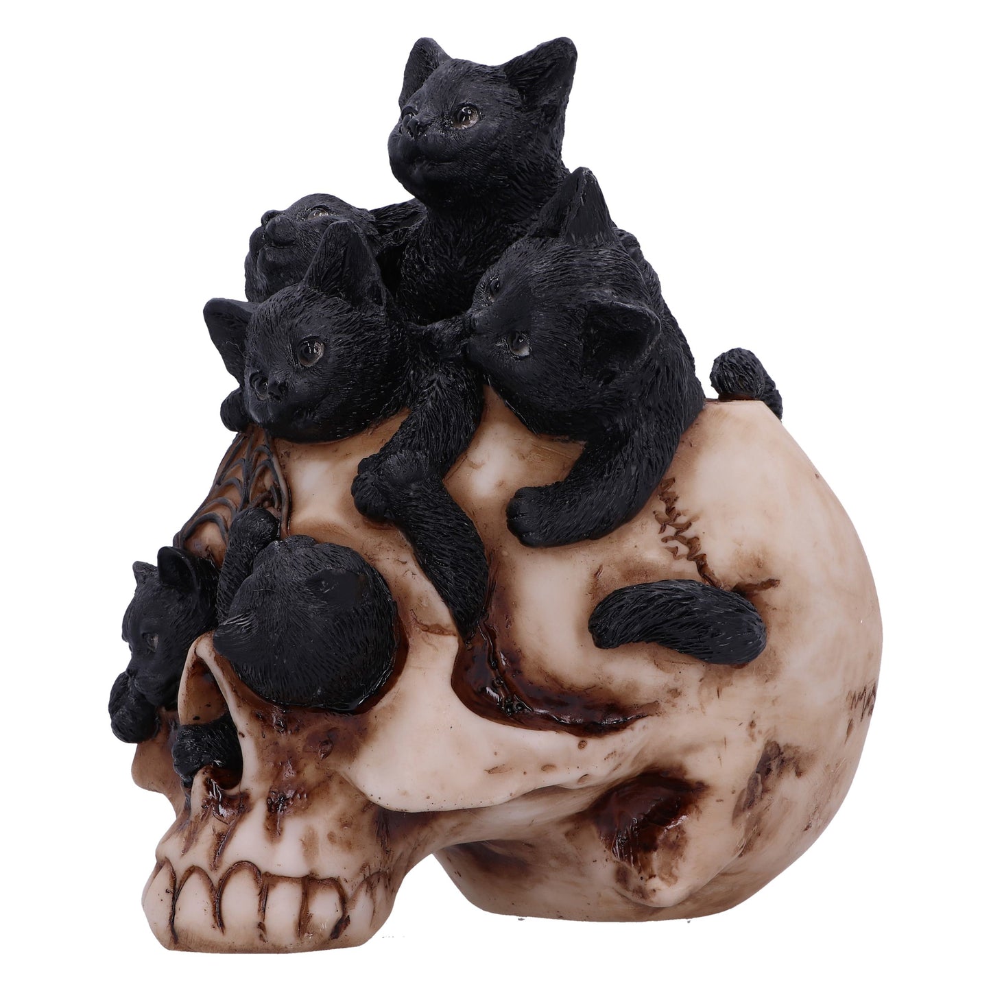 Cranial Litter Figurine